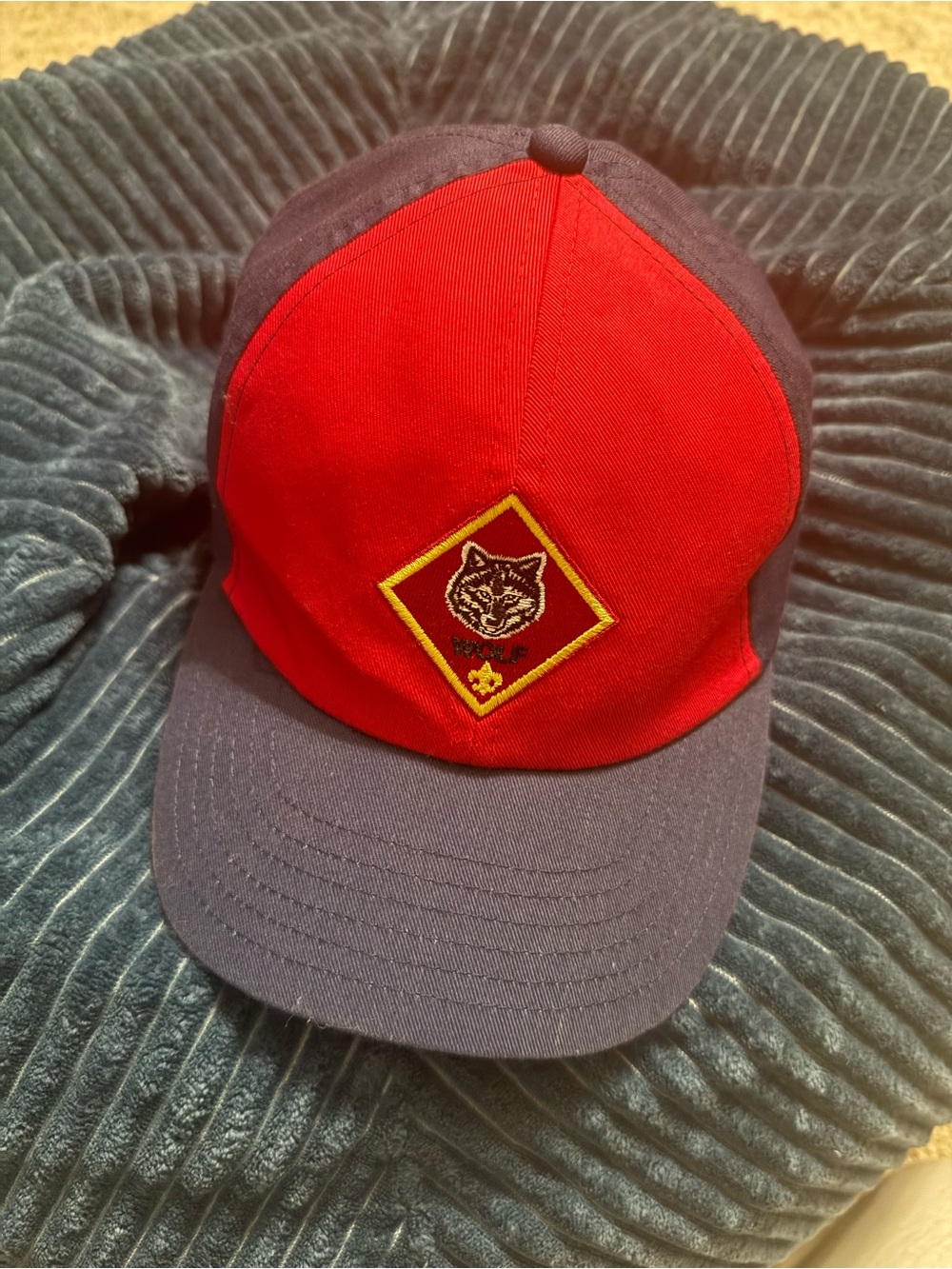 Cub Scout Wolf Hat